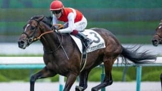 【AI予想・日経新春杯】非根幹距離のハンデ重賞で混戦ムード！ 人工知能は実力馬の重賞初制覇に期待