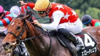 日経新春杯は「前走条件戦組」が狙い目 今年の該当馬3頭はいずれもハイレベル