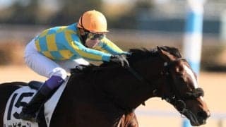 【中京5R】武豊トッピボーンが初勝利