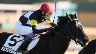 【中京6R】武豊×福永厩舎アスクセクシーモアが初勝利