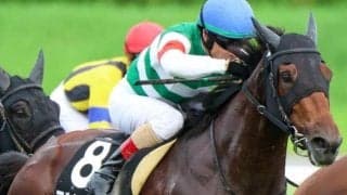 ナミュールの半妹 アルセナールが若潮SでOP入り狙う