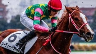 セレクト2.4億円の高額馬 10か月ぶりの実戦で待望の初勝利なるか