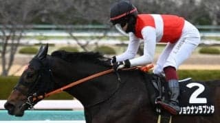 【日経新春杯予想】上下5.5kgの斤量差がカギに 今年は中京2200mで行われるハンデ戦