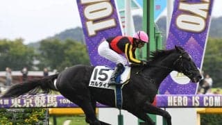 【競馬予想】注目の京成杯、クラシックに直結する一戦で穴党記者が推奨する伏兵２頭