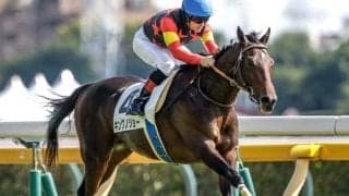 【京成杯予想】狙うは中位人気の最速上がりタイプ？ 過去データで探るGIII京成杯