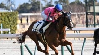 【中京5R新馬戦結果】ヌーヴォレコルトの娘セナスタイルがV ソットサス産駒のJRA初勝利
