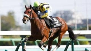中京芝は持久力が必要 日経新春杯は長く脚を使える差し馬を狙おう