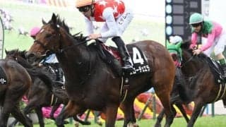 【日経新春杯・馬体重】ヴェローチェエラは496kg(-4)、ショウナンラプンタは540kg(+4)