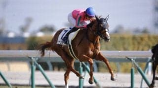 【新馬/中京5R】良血セナスタイルがデビューV…母はヌーヴォレコルト