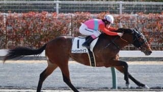 【中京6R】永島まなみが2025初勝利…最後方から最内強襲