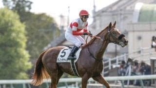 小倉競馬が開幕 AJCCなど3重賞/今週の競馬界の見どころ