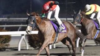 【高知・大高坂賞】マイネルシトラスが黒船賞の優先出走権獲得