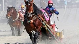 【ばんえい十勝】田上調教師が通算1500勝を達成