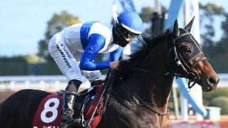 【日経新春杯】売上は85億9431万1800円で昨年より約16億円増加