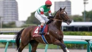 【AJCC見どころ】好成績の中山でレーベンスティールが巻き返す