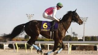 【プロキオンS見どころ】実績上位のドゥラエレーデが久々の勝利を掴む