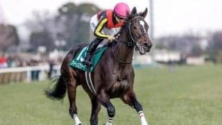 【小倉牝馬S見どころ】クイーンズウォークが前走の鬱憤を晴らす