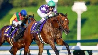 【プロキオンS想定騎手】サンライズジパングは坂井瑠星騎手、ドゥラエレーデは川田将雅騎手