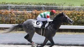 【船橋・ブルーバードC枠順】連勝中のクァンタムウェーブは7枠7番