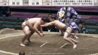 「腕折れそう」だけど…“一般人の体型”超細身力士、体重2倍以上の巨漢を豪快投げ 館内どよめき「あれで勝つんか」