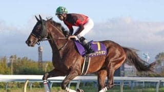 【先週のJRA抹消馬】ダートグレード3勝のディクテオン、ステイヤーズS覇者アイアンバローズなど