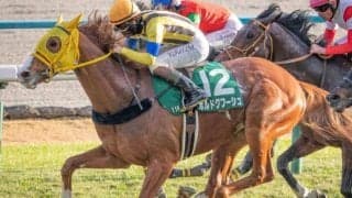 イクイノックス、ドウデュース世代の“苦労人” ケガを乗り越えAJCCで悲願の重賞初Vなるか