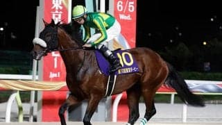 昨年ルーキー最多勝の若武者 JpnI・2着の実績馬とプロキオンSで重賞初V狙う