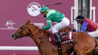 今年からは日本で供用 凱旋門賞馬ソットサスの初年度産駒成績は？