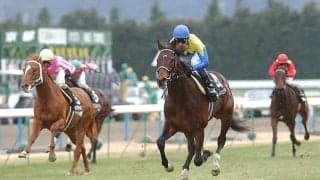 伝説の始まり ディープインパクトの若駒SノーステッキVから20年