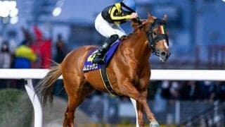 【船橋・報知グランプリC枠順】川崎マイラーズを完勝したムエックスは6枠10番