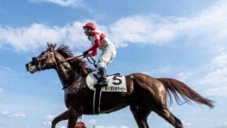 【AJCC予想オッズ】ダノンデサイルが予想1番人気