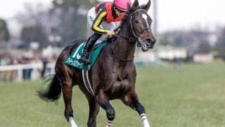 【小倉牝馬S予想オッズ】クイーンズウォークが予想1番人気