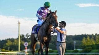 【プロキオンS予想オッズ】サンライズジパングが予想1番人気