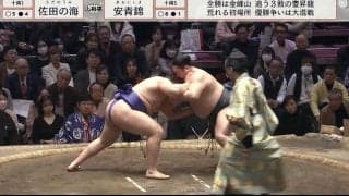 「絶対本物」「天才肌だこの人」最速新入幕期待の20歳ホープ、“下から下から”を徹底した強過ぎる相撲に衝撃「超技巧派」