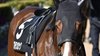 トーセンジョーダン産駒のJRA重賞初制覇へ 岩手競馬出身の“たたき上げ”がプロキオンSに挑む