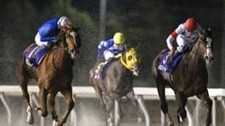 今年も始まるダート三冠への道 ブルーバードC前に競走体系をおさらい