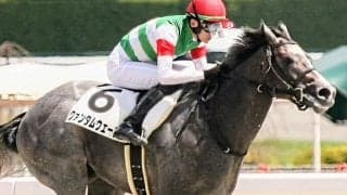 【船橋・ブルーバードC注目馬】連覇を狙う松永幹厩舎 今年も有力馬2頭を送り込む