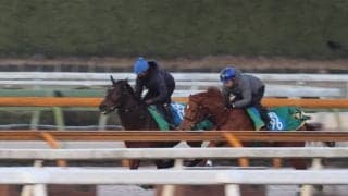 アームズレイン、根岸S1週前追い切り速報/栗東トレセンニュース