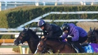 カムニャック、エルフィンS2週前追い切り速報/栗東トレセンニュース