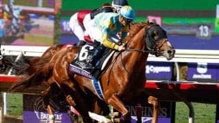 【根岸S想定】デルマソトガケ、タガノビューティーなど22頭