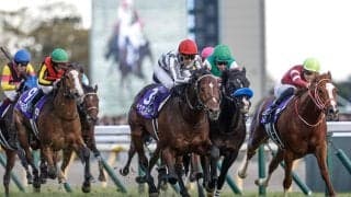 最高はジャパンCの5位 24年世界のトップ100GIに日本から13競走