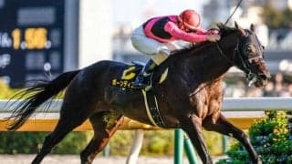 【AJCC予想】例年にも増して強力なメンバー構成に AIの推奨馬はかなり魅力的な妙味もつ一頭