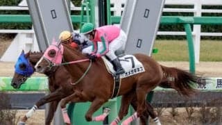 【プロキオンS展望】すべての条件をクリアするオメガギネスに注目