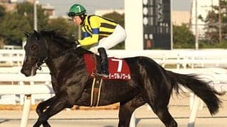 23年兵庫ジュニアグランプリ覇者イーグルノワールが抹消 今後は大井競馬に移籍予定