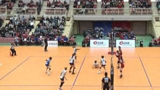 女子バレー、驚異の反射神経で\"猫パンチ\"レシーブ炸裂 直後に“カエル飛び”トスも…「こんなの初めて見た」激しいラリーでの一コマにファン大興奮