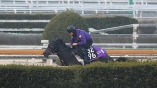 ショウヘイ、きさらぎ賞2週前追い切り速報/栗東トレセンニュース