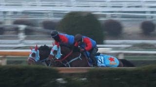 タガノビューティー、根岸S1週前追い切り速報/栗東トレセンニュース