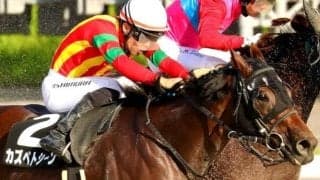 ルーラーシップ産駒のJRAダート重賞初制覇へ 充実期迎えた5歳馬がプロキオンS参戦