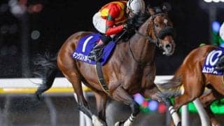 【船橋・報知グランプリC結果】キングストンボーイが追い比べ制し重賞連勝！