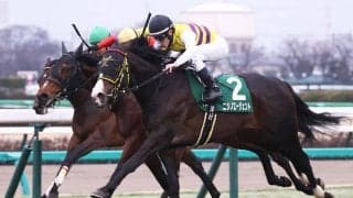 【京成杯】100万馬券炸裂…伏兵ニシノエージェントが抜け出して大波乱